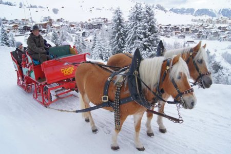 Horse-drawn sleigh ride | Darrehof Farm