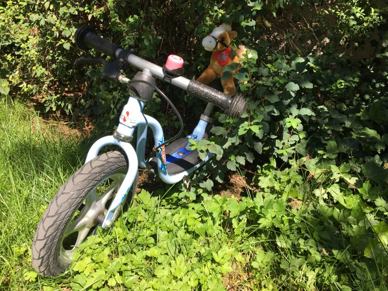 Netti on the mountain bike