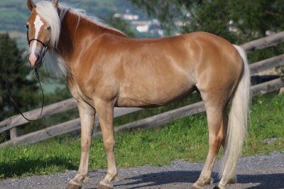 sommerhitze_serfaus2.jpg