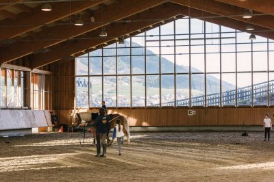 darrehof_reitbauernhof_serfaus_panoramareithalle.jpg