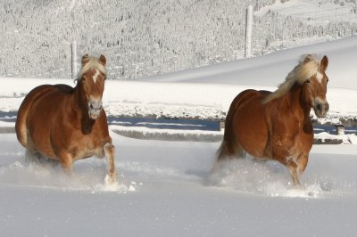 weihnachten_darrehof_serfaus2.jpg