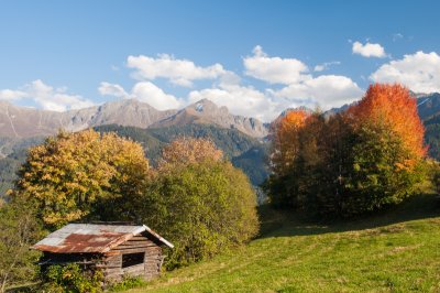 altweibersommer01.jpg