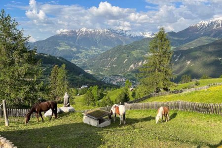 Familien- & Naturhotel Darrehof | Wellnessbereich