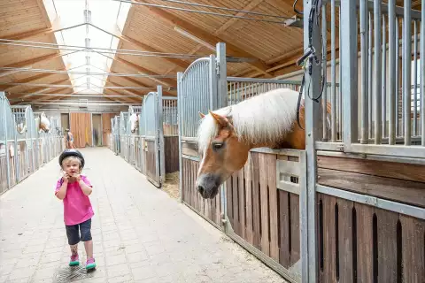 01_hotel-darrehof_reiten-fuer-kinder_kleinkind-stall.webp
