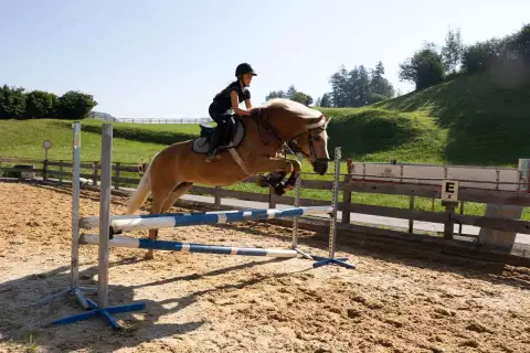 03_naturhotel-darrehof_reiturlaub_springreiten