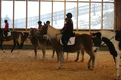 weihnacht_reitstall_darrehof2.webp