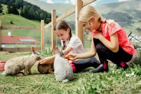 02_hotel-darrehof_kinder_streicheltiere.webp