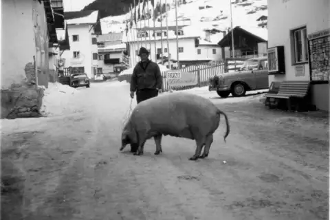 05_darrehof-geschichte_strasse-schwein.webp