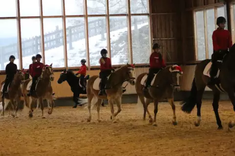 weihnacht_reitstall_darrehof3.webp