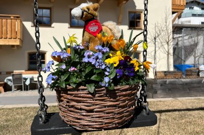 fruehling03.jpg