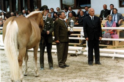 7_pferdeausstellung_ebbs.jpg