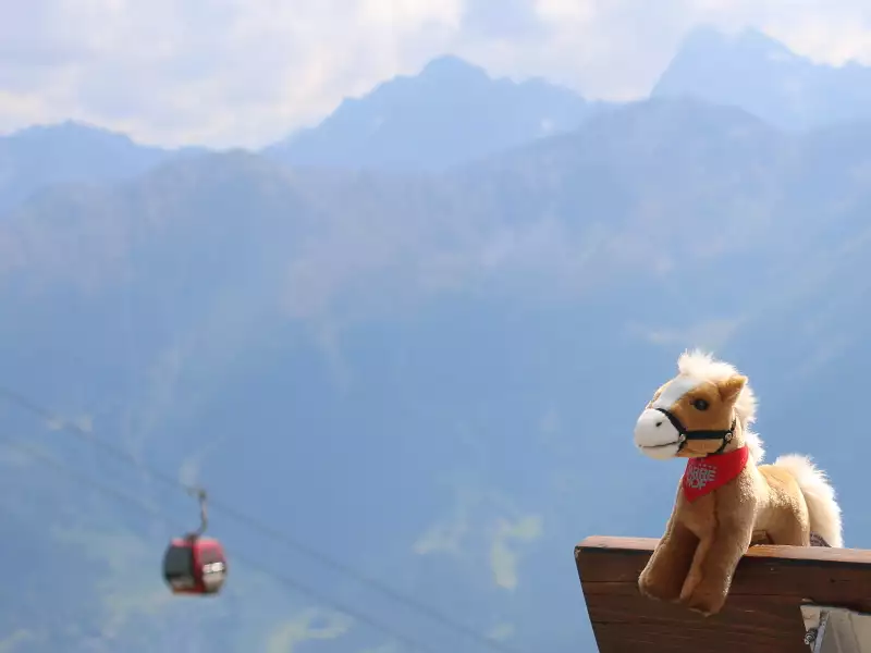 Nordpferd, Südpferd oder Plüschpferd